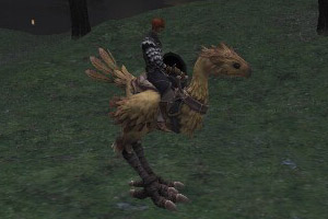 Riding a chocobo