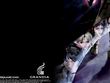 Grandia III wallpaper