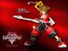 Kingdom Hearts II wallpaper