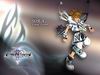 Kingdom Hearts II wallpaper