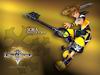 Kingdom Hearts II wallpaper