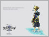 Kingdom Hearts II wallpaper