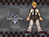 Kingdom Hearts II wallpaper