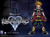 Kingdom Hearts II wallpaper