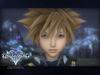 Kingdom Hearts II wallpaper